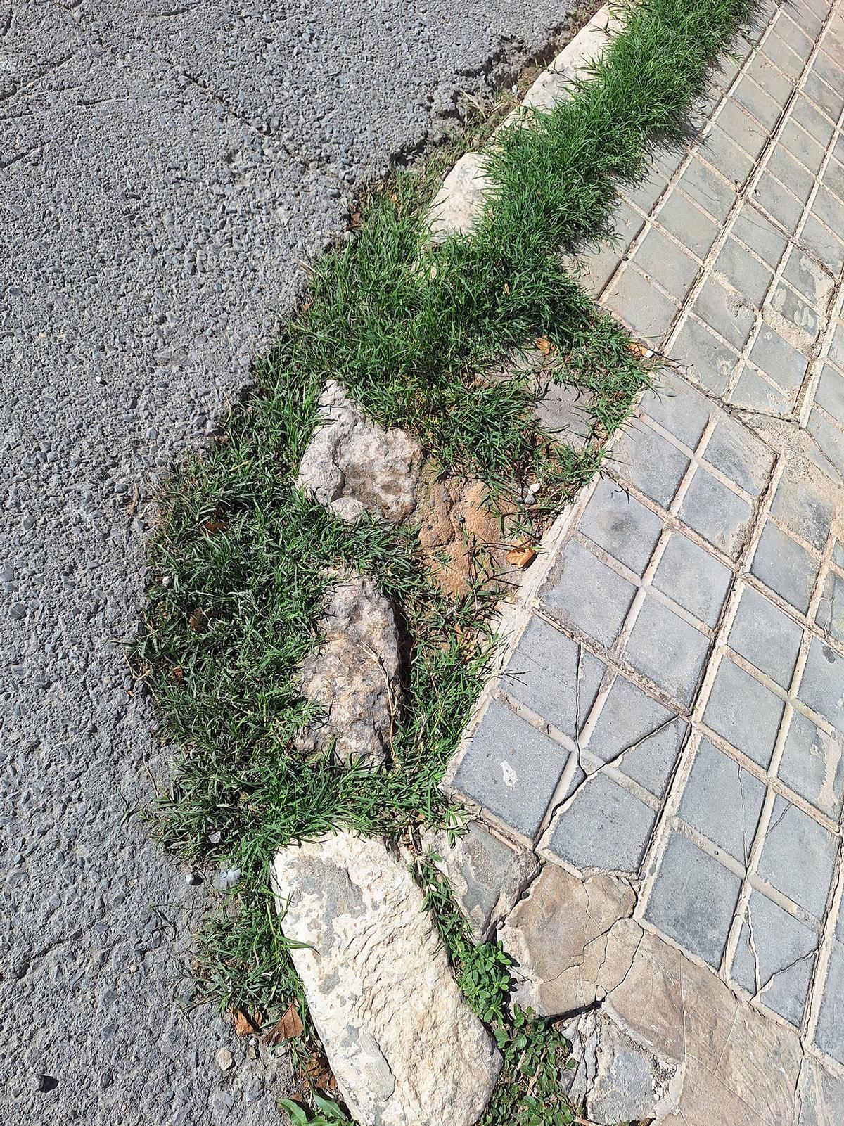 Así denuncian los vecinos que están las aceras en La Constancia de Villena.