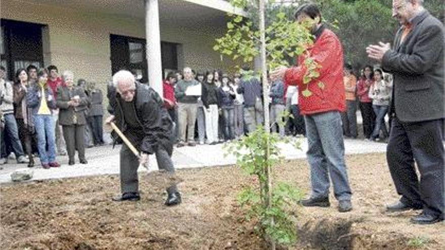 recuerdo. Francisco Aura plantó un ginkgo biloba, considerado como el árbol de la paz.