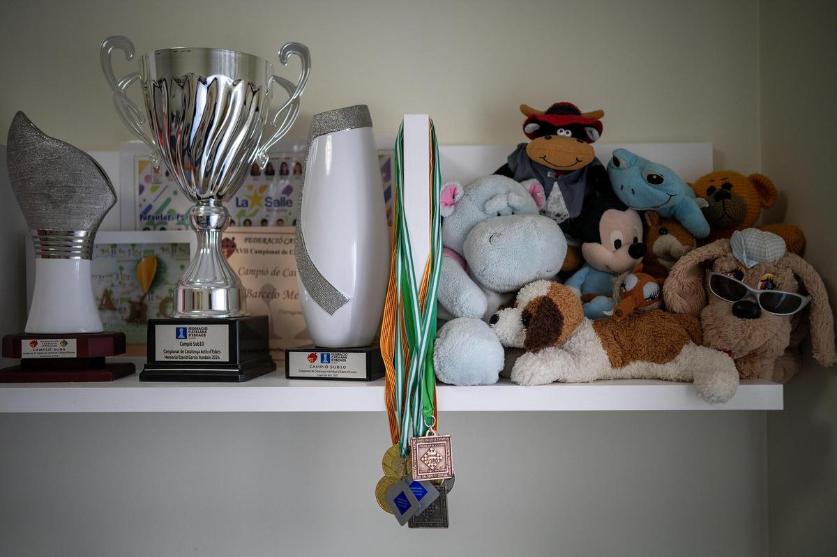 Los trofeos de Marc Barceló ganados en el ajedrez reposan junto a sus peluches.