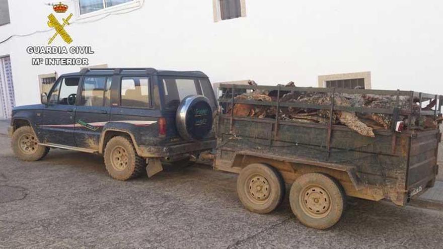 Detenido un hombre por robar 11.400 kilos de corcho en Aliseda (Cáceres)