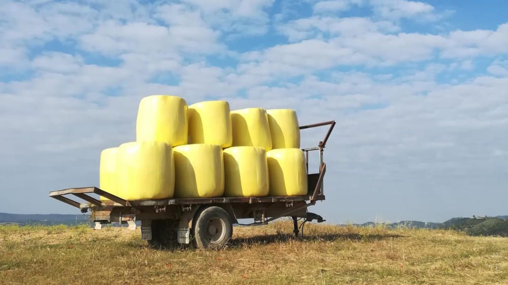 Feina agrícola. Després que el sol hagi assecat el camp, és temps de segar-lo i guardar les bales de farratge per al bestiar.