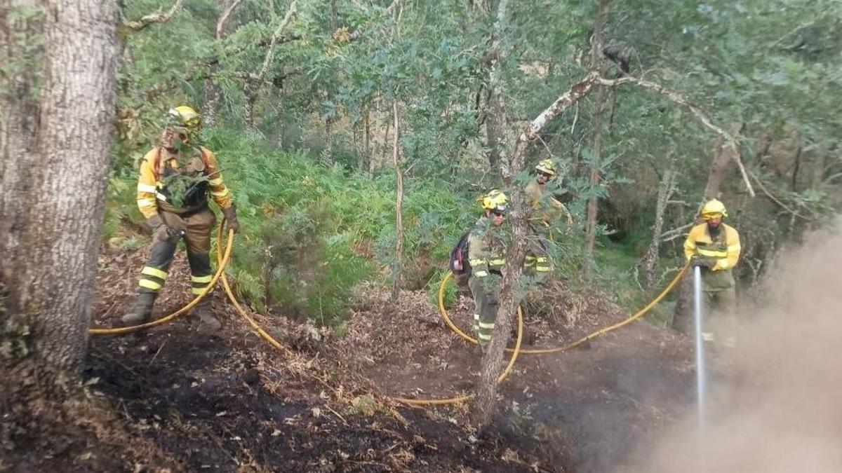 Bomberos forestales trabajan en la extinción del incendio de Hermisende.