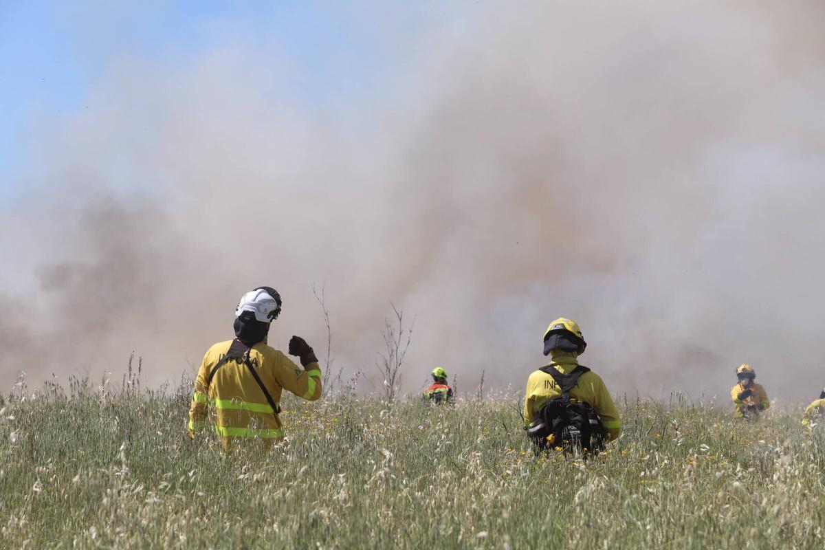 Fuego controlado en Las Quemadas y Rabanales