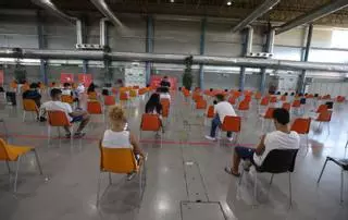 Urología y Radiología del General darán citas por mensaje de móvil