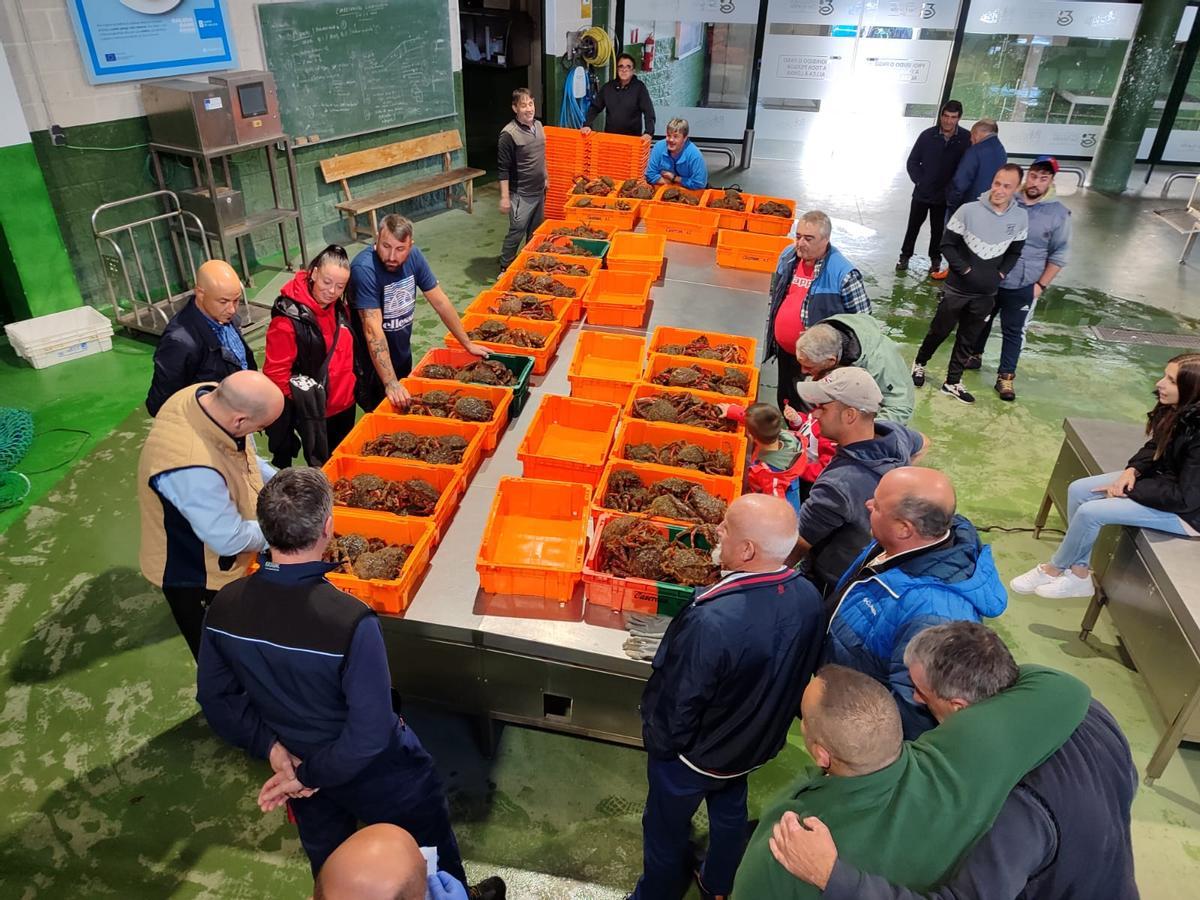 Subasta en la lonja de Bueu.