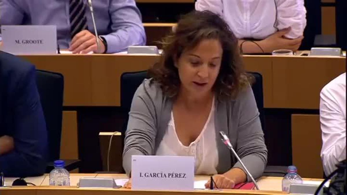 Intervención de la eurodiputada Iratxe García en que carga con dureza contra Arias Cañete.