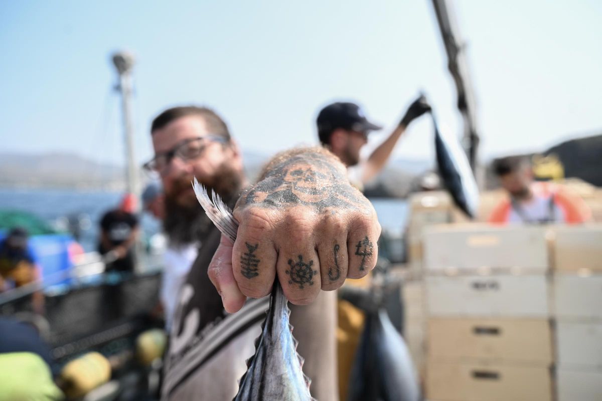 Uno de los pescadores muestra las capturas.