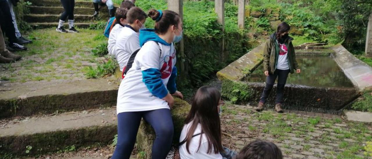 Niños del CEIP de Reibón en su salida al campo |   // S.A.