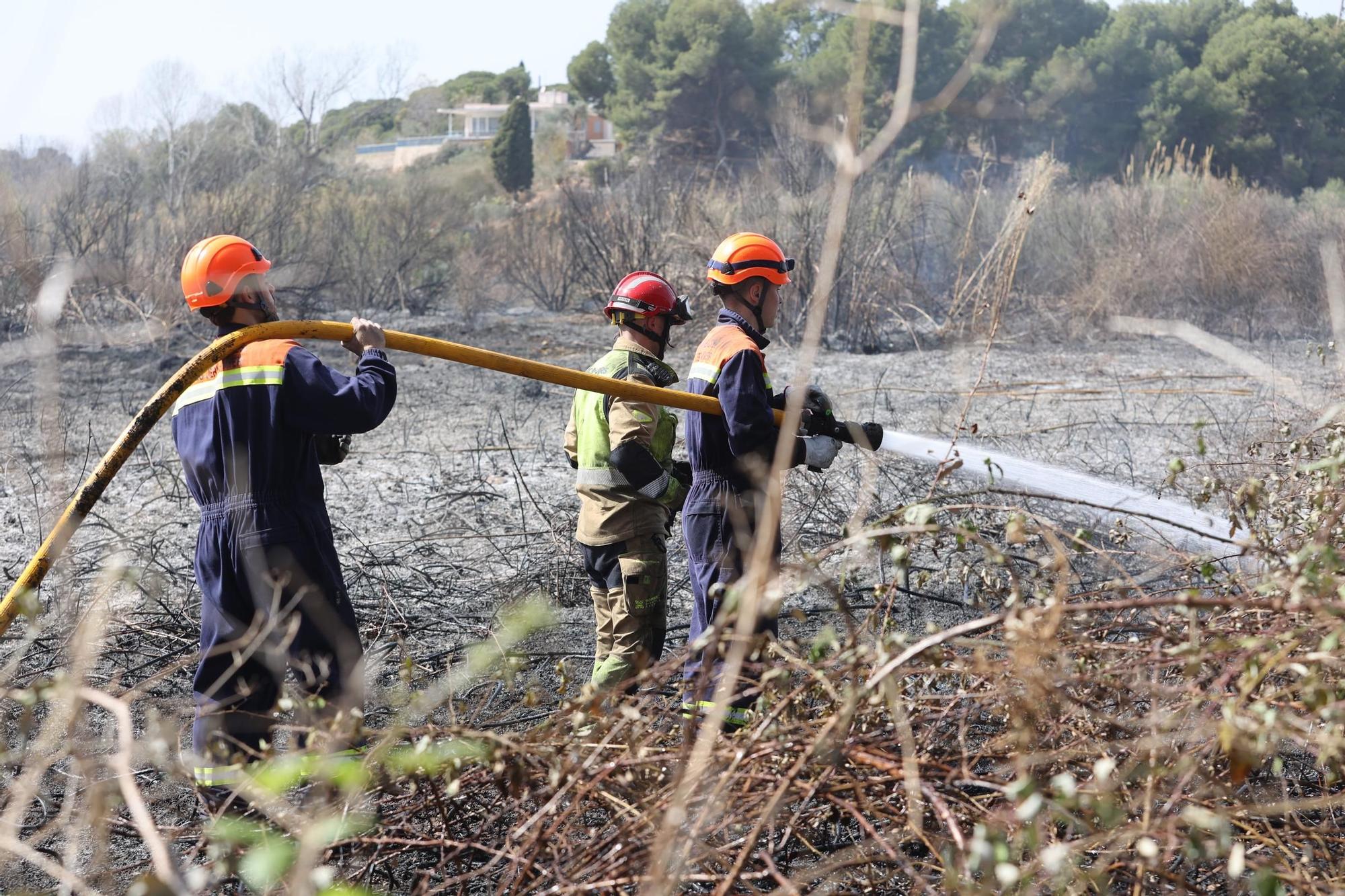 Galería de fotos del incendio forestal en el río Millars entre Vila-real y Almassora