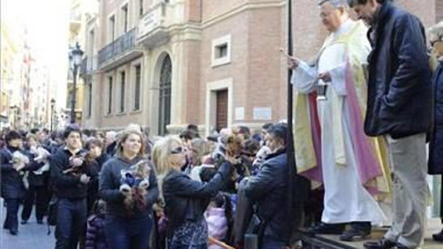 1.500 mascotas castellonenses reciben la bendición de Sant Antoni