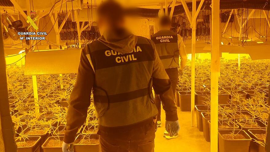 La Guardia Civil desarticula una organización criminal dedicada al cultivo de marihuana en Castellón