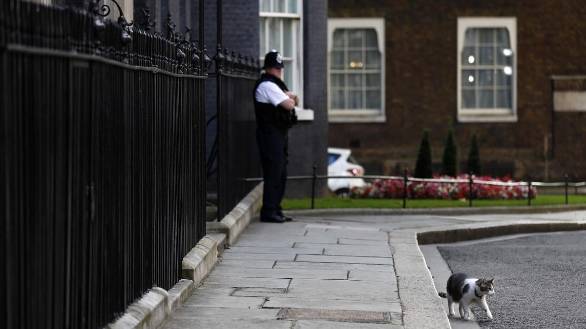 El gato Larry se pasea frente al número 10 de Downing Street