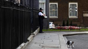 Larry, el gato de Downing Street, se pasea frente al número 10 de la calle, en Londres.