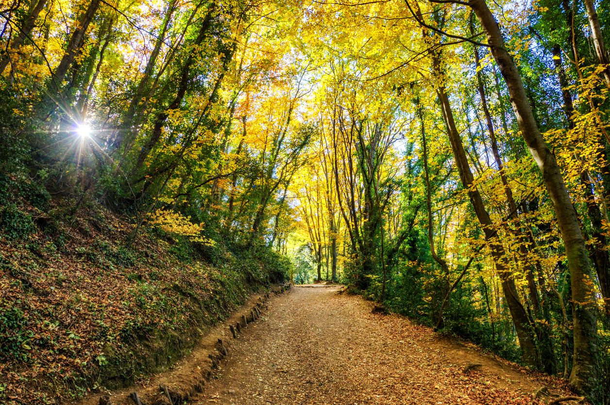 Además de las rutas de senderismo que recorren la zona, las excursiones en bicicleta son una muy buena opción para descubrir el territorio