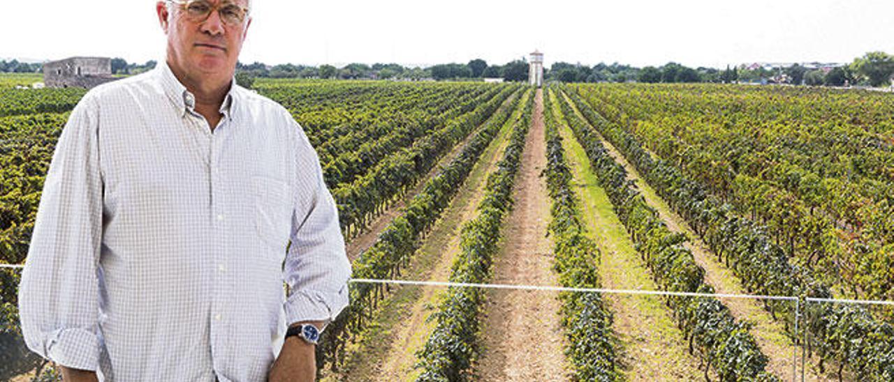 José Luis Roses, presidente del consejo regulador de la DOP Binissalem.