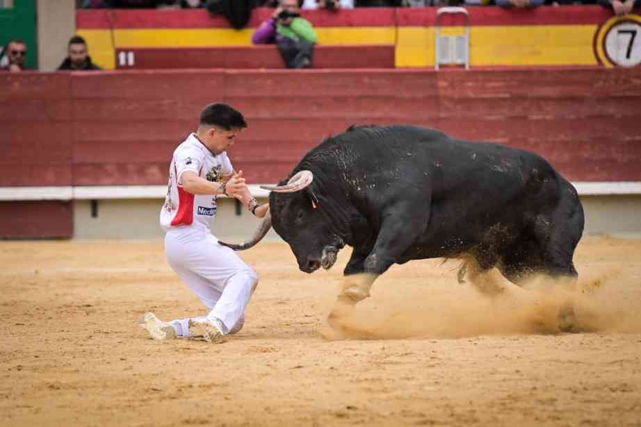 Así ha sido el Concurso Nacional de Recortadores de Castellón