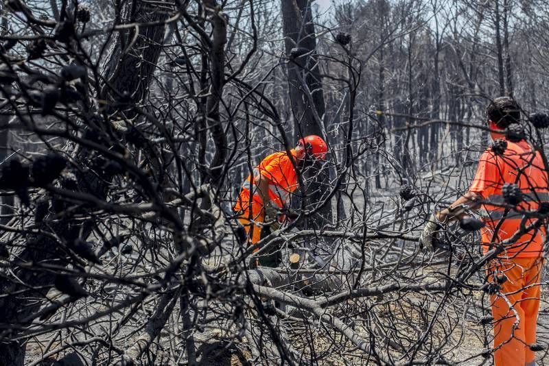 Fotogalería del incendio de las Cinco Villas