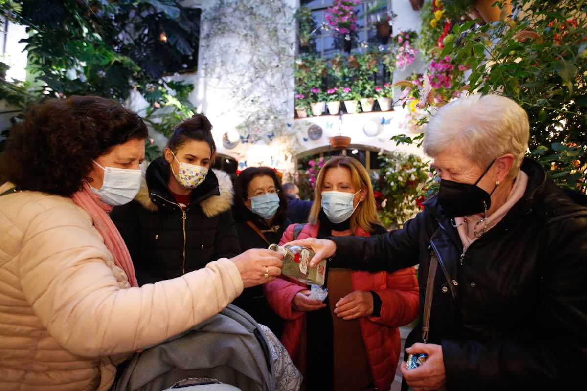 Los patios de Navidad derrochan brillo e ilusión en su día de apertura