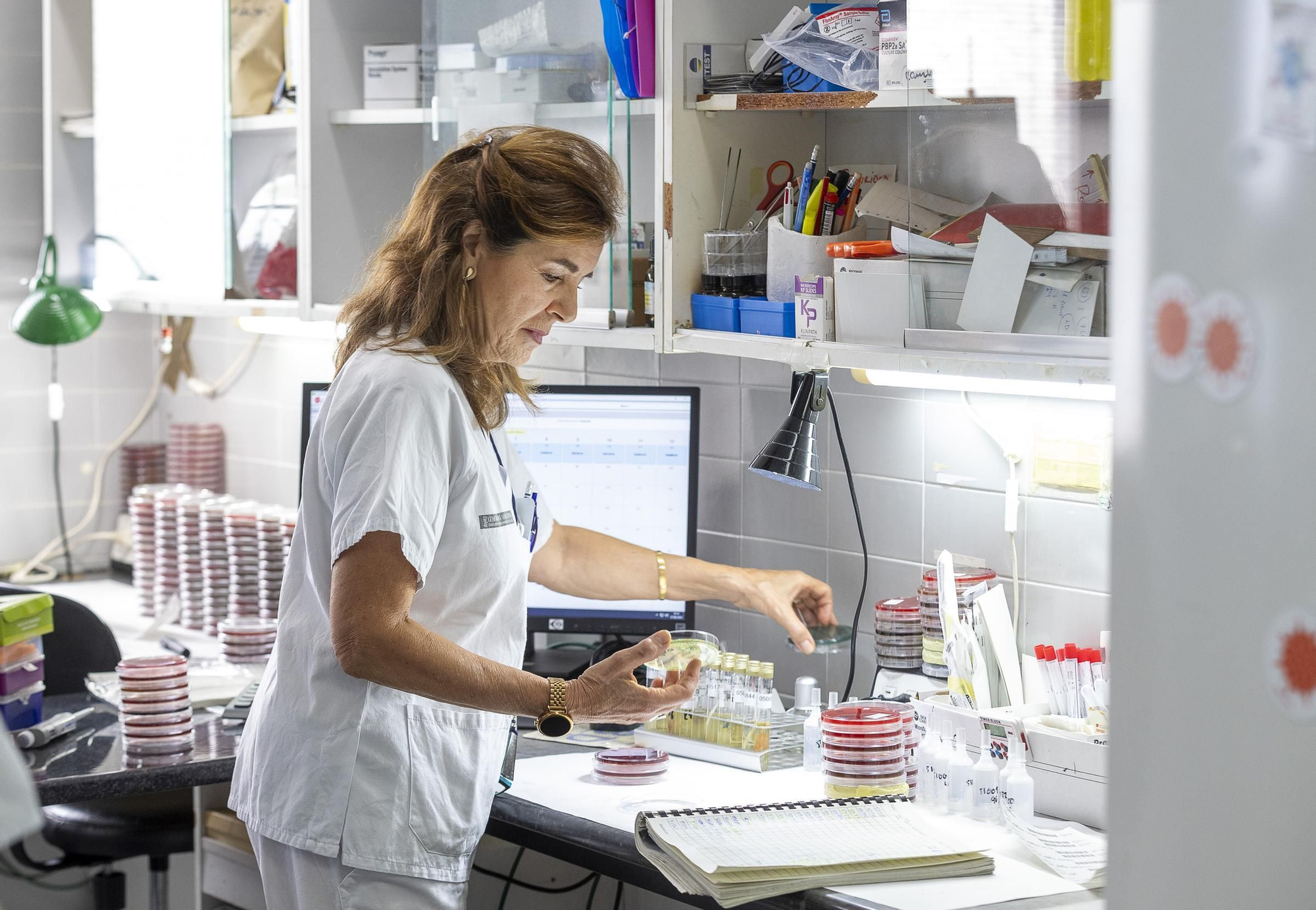Protocolo para optimizar la respuesta rápida en código sepsis en Alicante