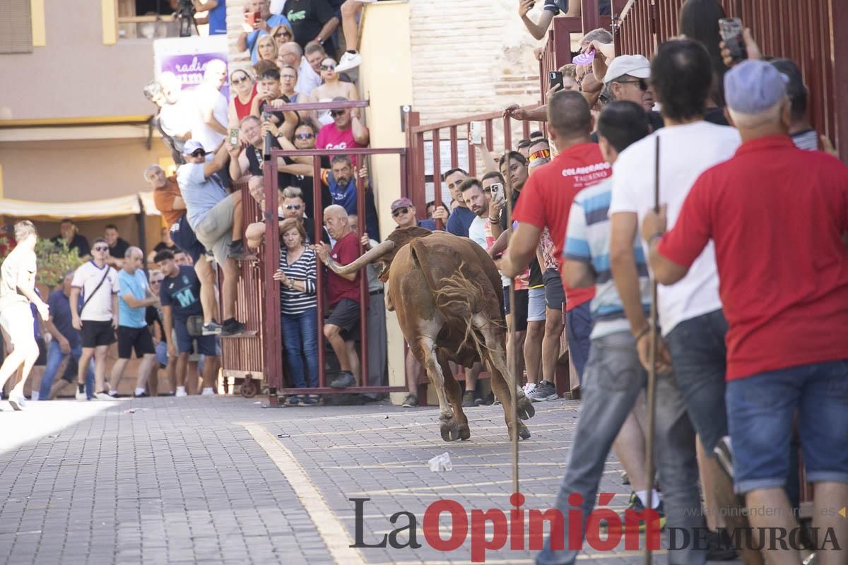 Tercer encierro de las Fiestas de Moratalla