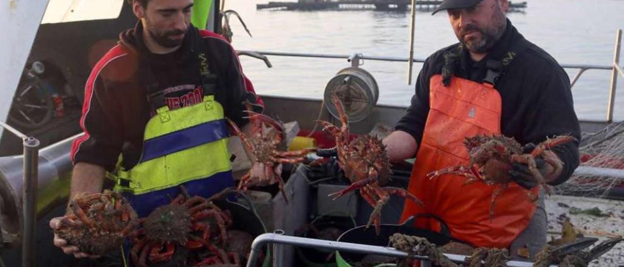 Dos pescadores grovenses de centollo en plena actividad. // Muñiz