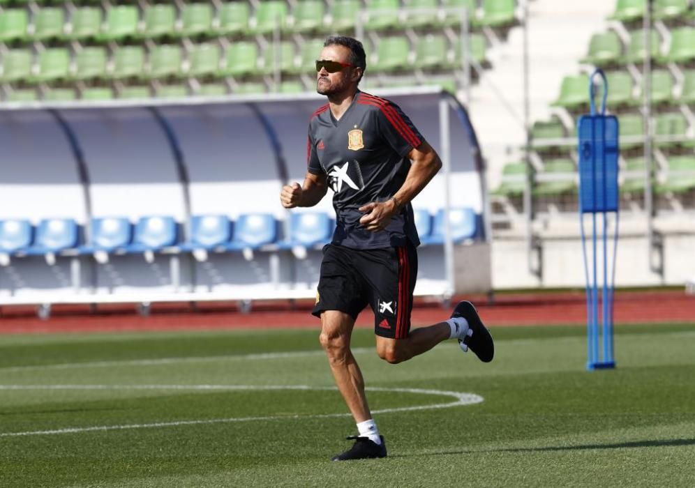 Así fue el paso de Luis Enrique por la Selección