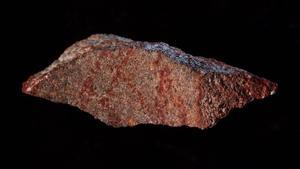 ealos45007101 a handout photo released on setepmerb 12  2018 by nature pub180913174956