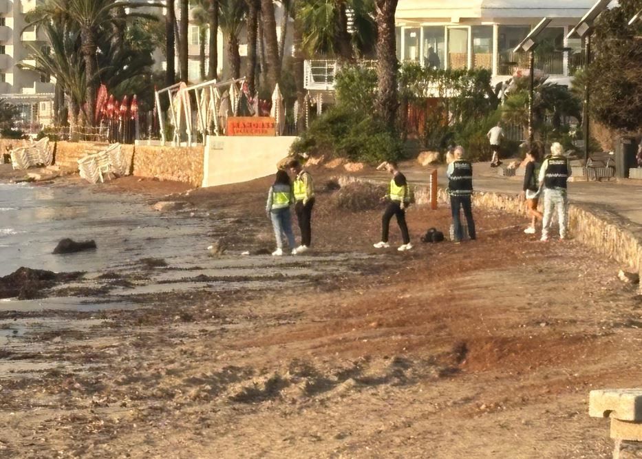 Encuentran el pie de una persona en Platja d'en Bossa