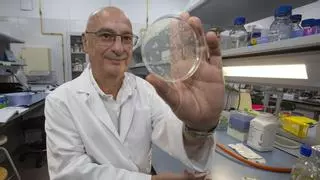 Francis Mojica, el padre del CRISPR, recibirá la Medalla de Honor 2026 de la Red Vives de Universidades