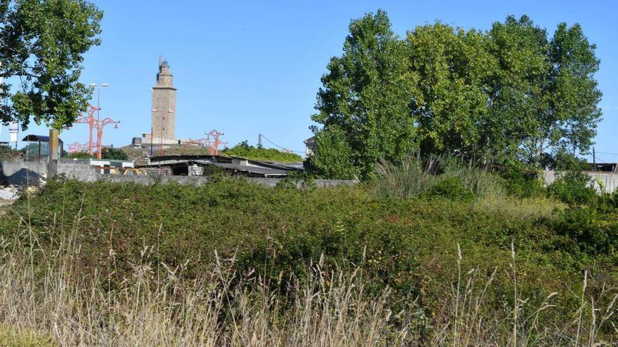 Agra de San Amaro, con la Torre de Hércules al fondo.