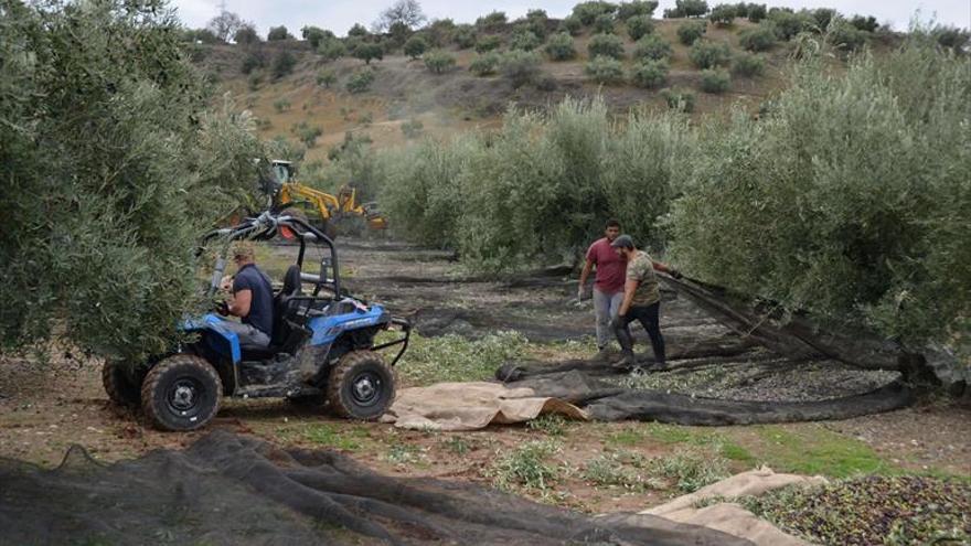 El campo vuelve a sentarse para negociar el convenio colectivo