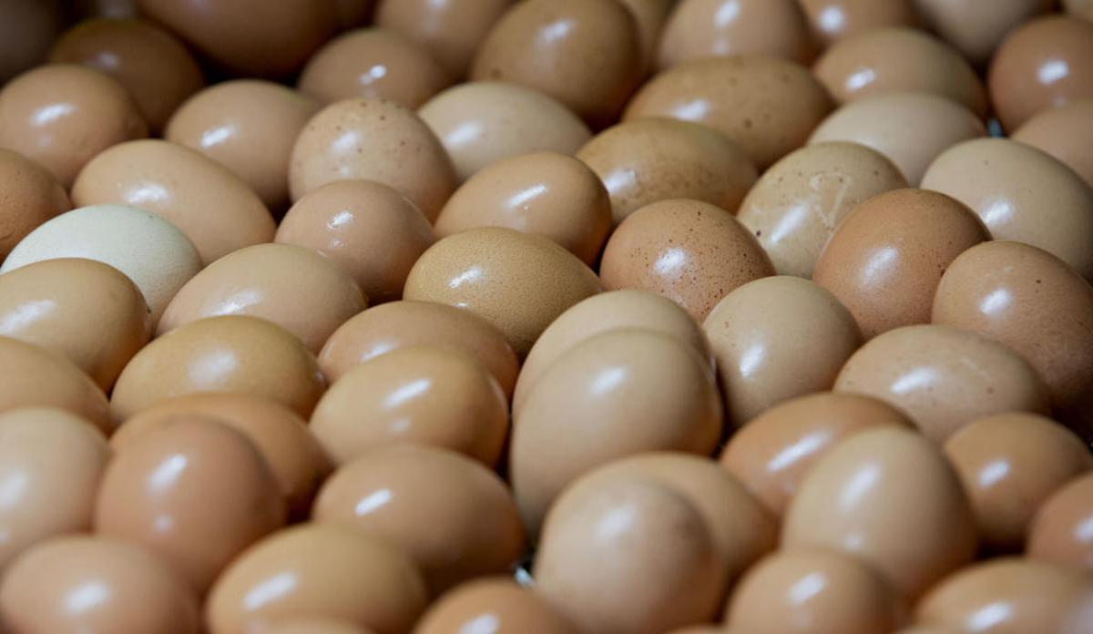 Las claras aumentan la fertilidad del hombre.