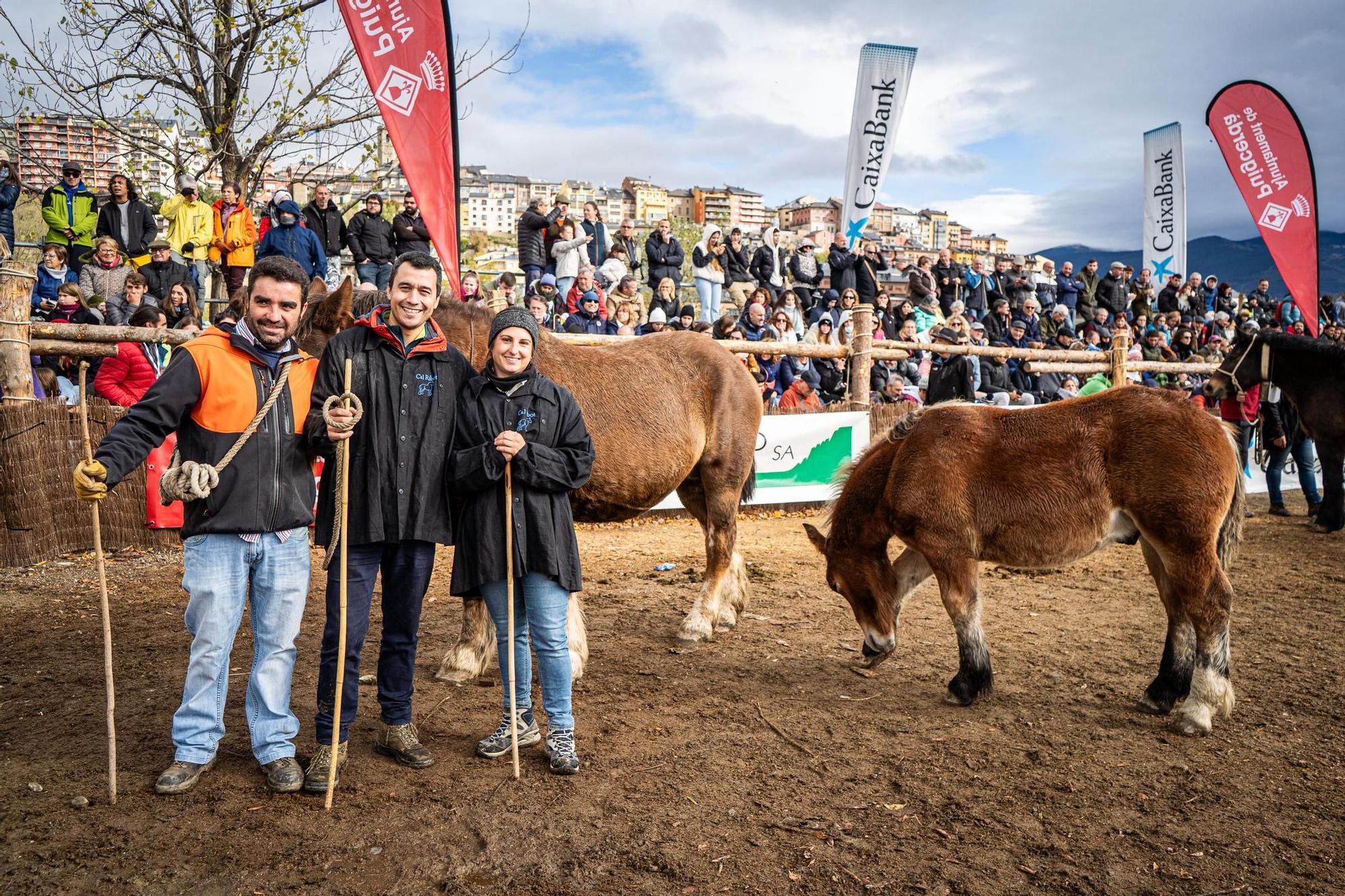 Totes les imatges de la Fira del Cavall de Puigcerdà