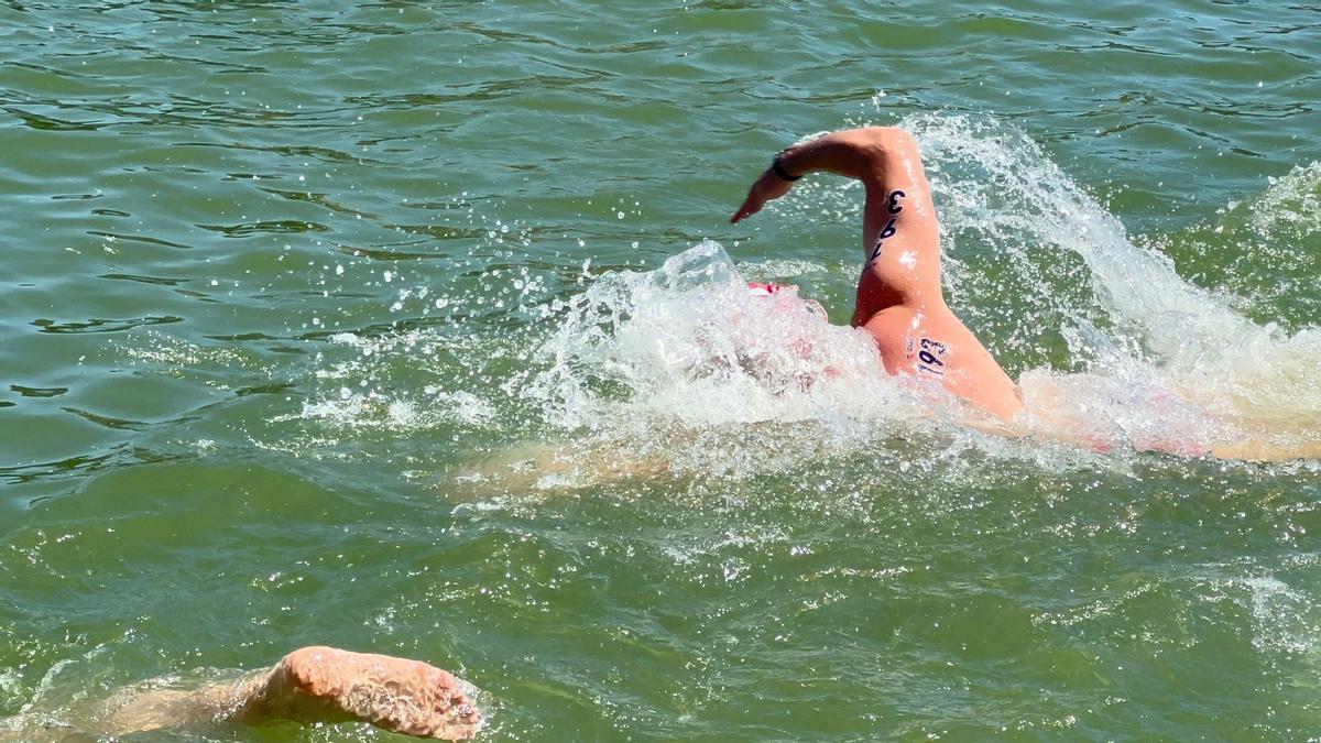 El nadador nuciero Miguel Bou Bernabéu se proclamó campeón de España en Aguas Abiertas en 3.000 metros en premáster (de 20 a 25 años), en Sevilla.