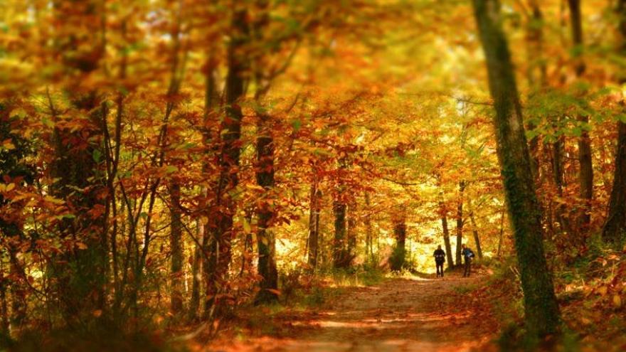 Estampas otoñales. El Otoño Mágico brinda la oportunidad de redescubrir esta comarca rural de gran belleza.