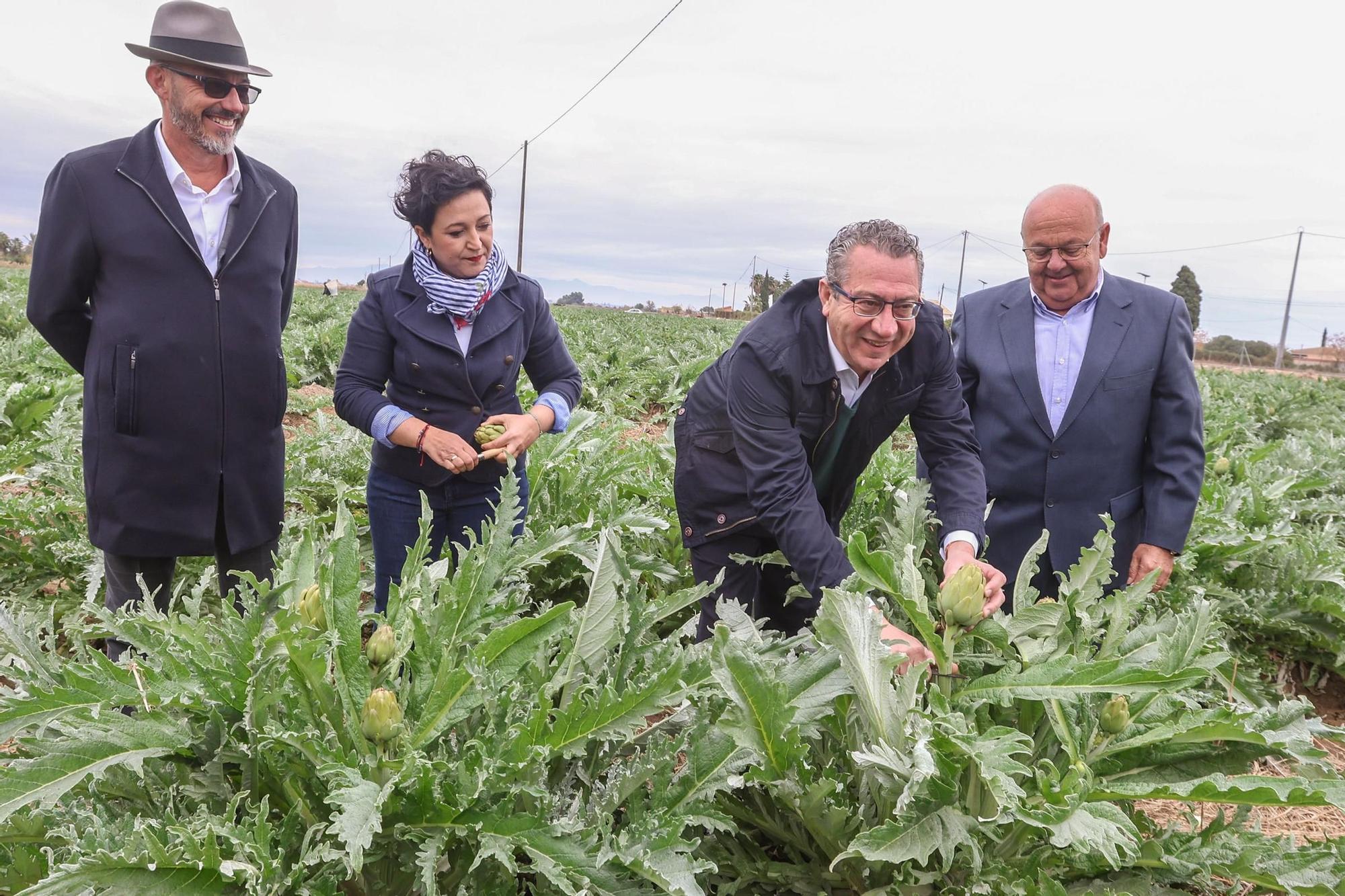 La chef Aurora Torres inaugura la temporada de la alcachofa