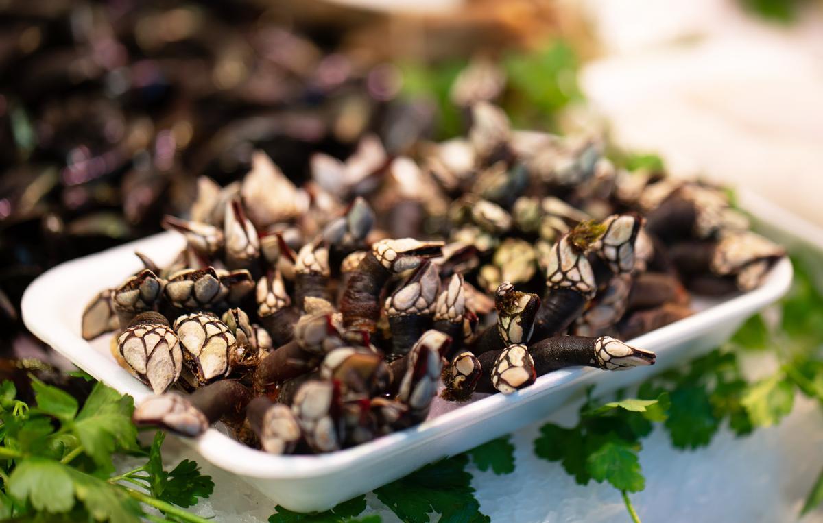 María Pombo y Dani Carvajal adoran comer percebes