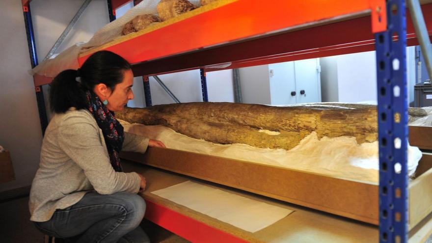 Ainara Aberasturi junto a restos de una de las especies prehistóricas más importantes del MUPE.  | MATÍAS SEGARRA
