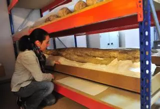 El MUPE guarda un dinosaurio de 13 metros en cajas por falta de espacio y recursos para exhibirlo