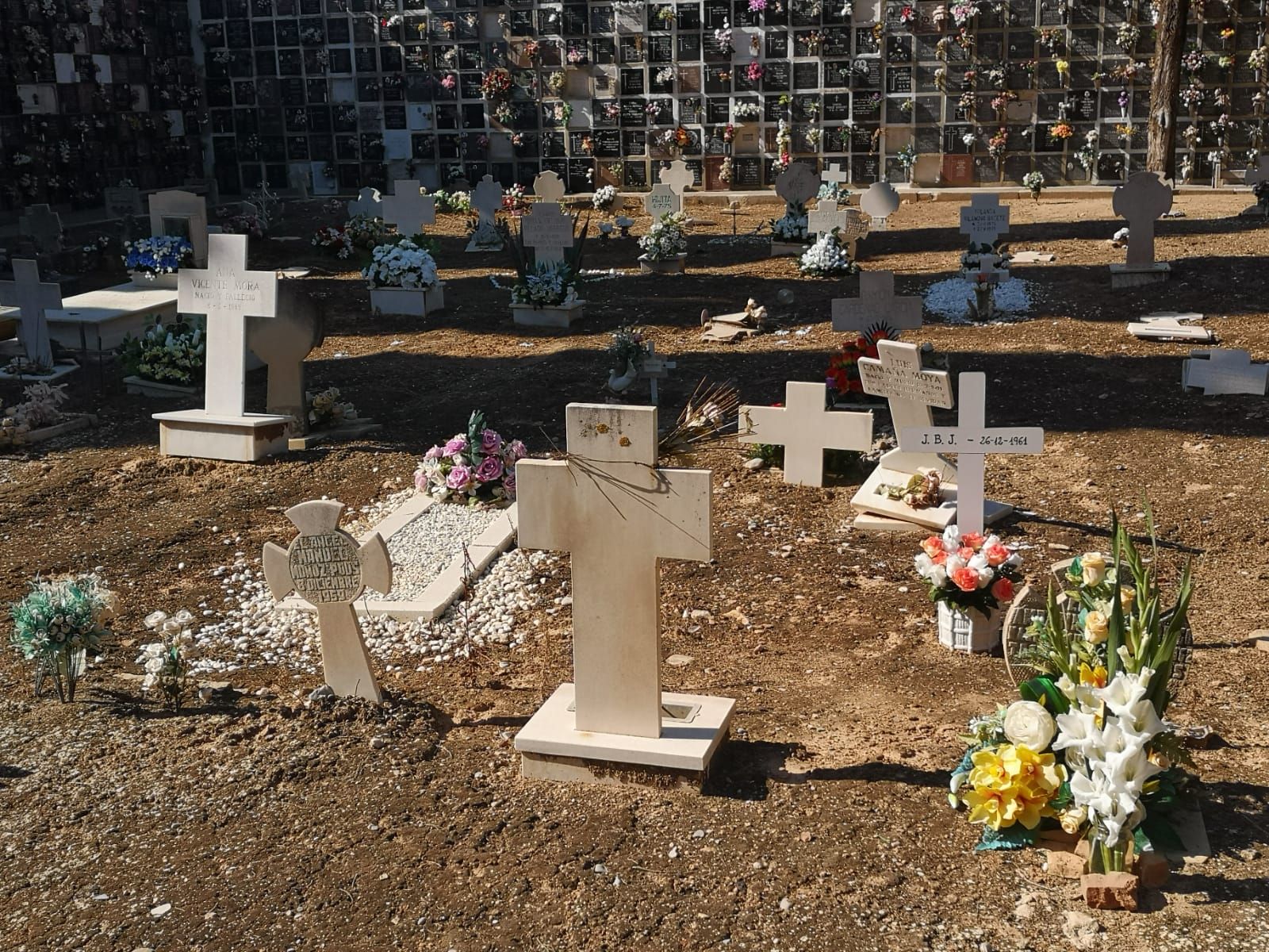 Todos los Santos sin gente en el cementerio de València