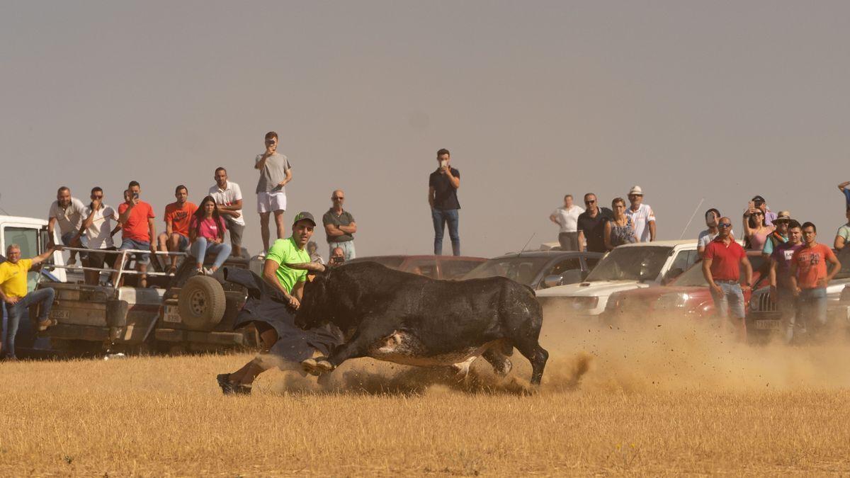 Encierro campero en Villalpando.