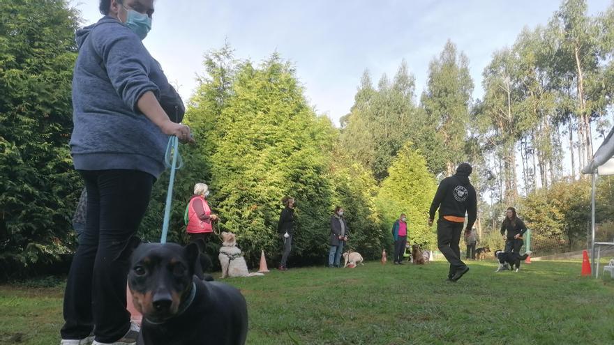 Coco, junto a su dueña, en la clase de adiestramiento canino