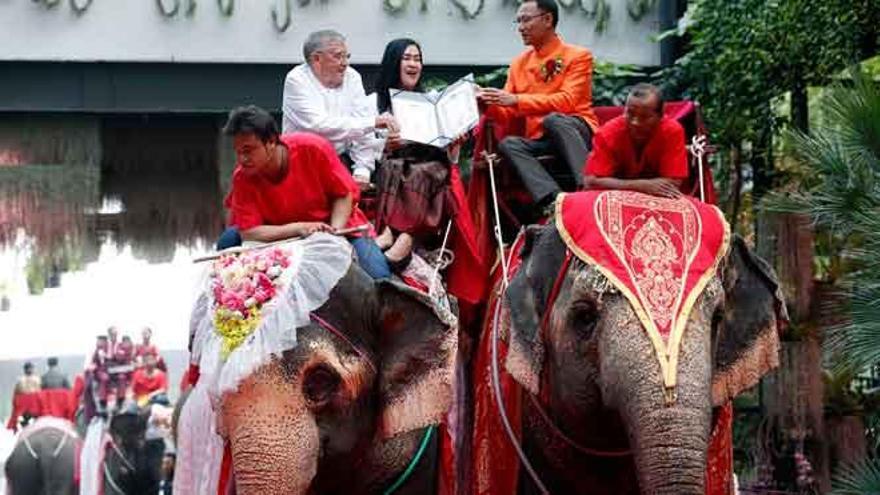 Bodas masivas en Tailandia a lomos de elefantes por el Día de San Valentín