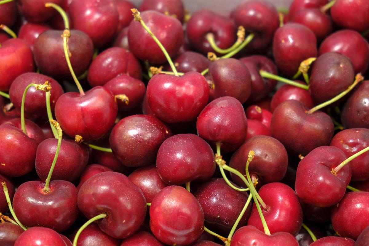 Galería | Así son las cerezas del Jerte