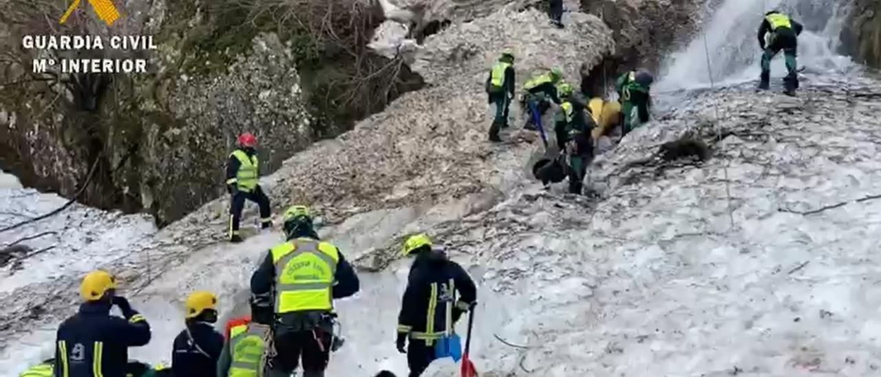 Los especialistas, durante la búsqueda.