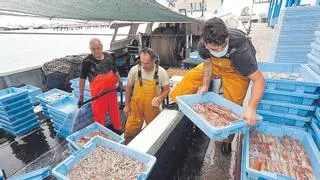 El grito de auxilio de la pesca de Castellón