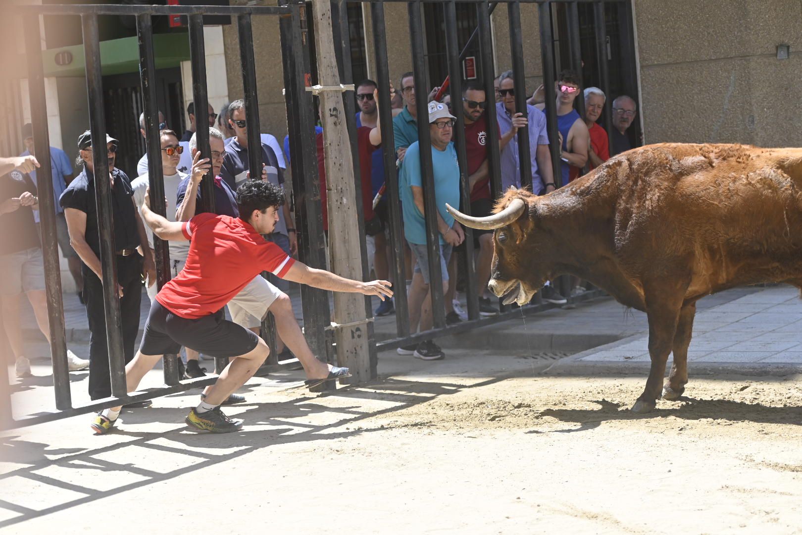 Martes de tradición, toros y fiesta en el Grau por Sant Pere