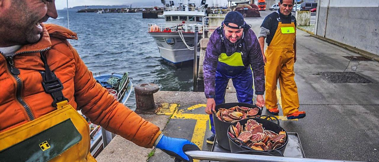 Un grupo de pescadores descarga un lote de vieira en el puerto de Tragove, hace un año.  | // IÑAKI ABELLA