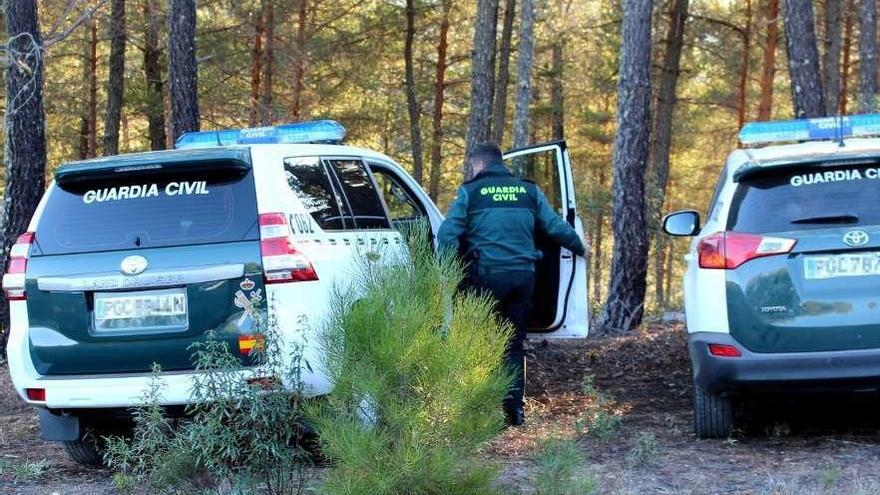 Un agente de la Guardia Civil accede a un vehículo en una zona de bosque de la provincia.