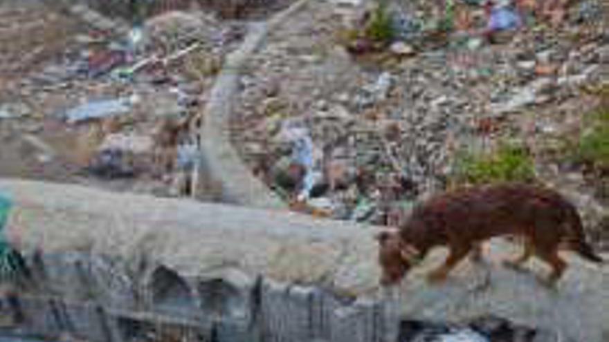 Basura junto a la calle Barranco.